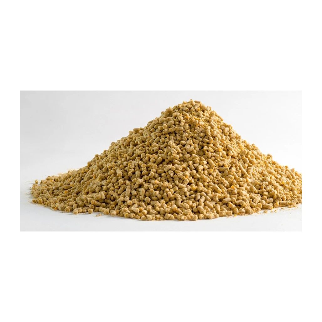 Good Quality Barley Grain For Animal / Best Quality Animal Feed Barley For Sale / barley for Animal Feed and Human Consumption