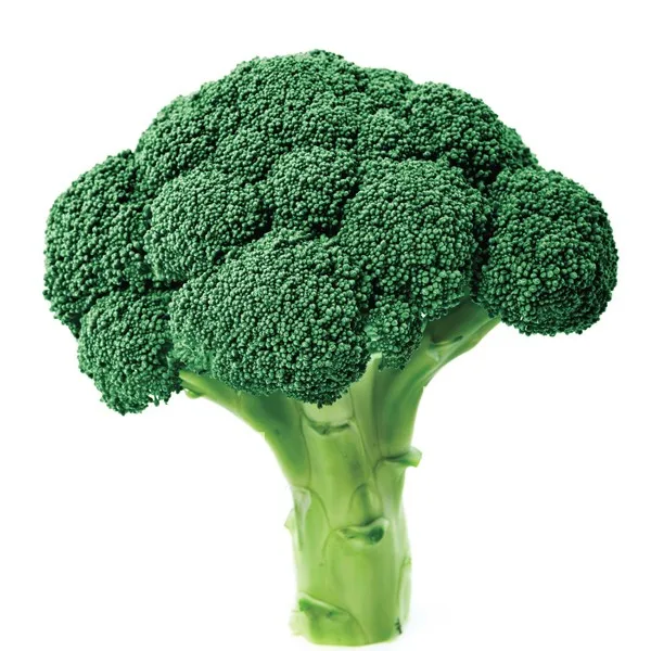 Best Selling Broccoli At Wholesale Prices From India