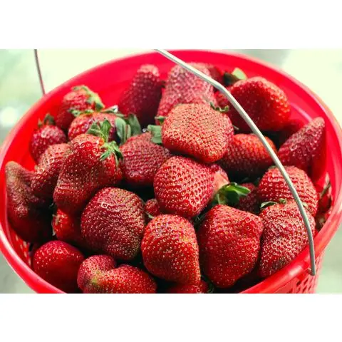 fresh-strawberry...jpeg