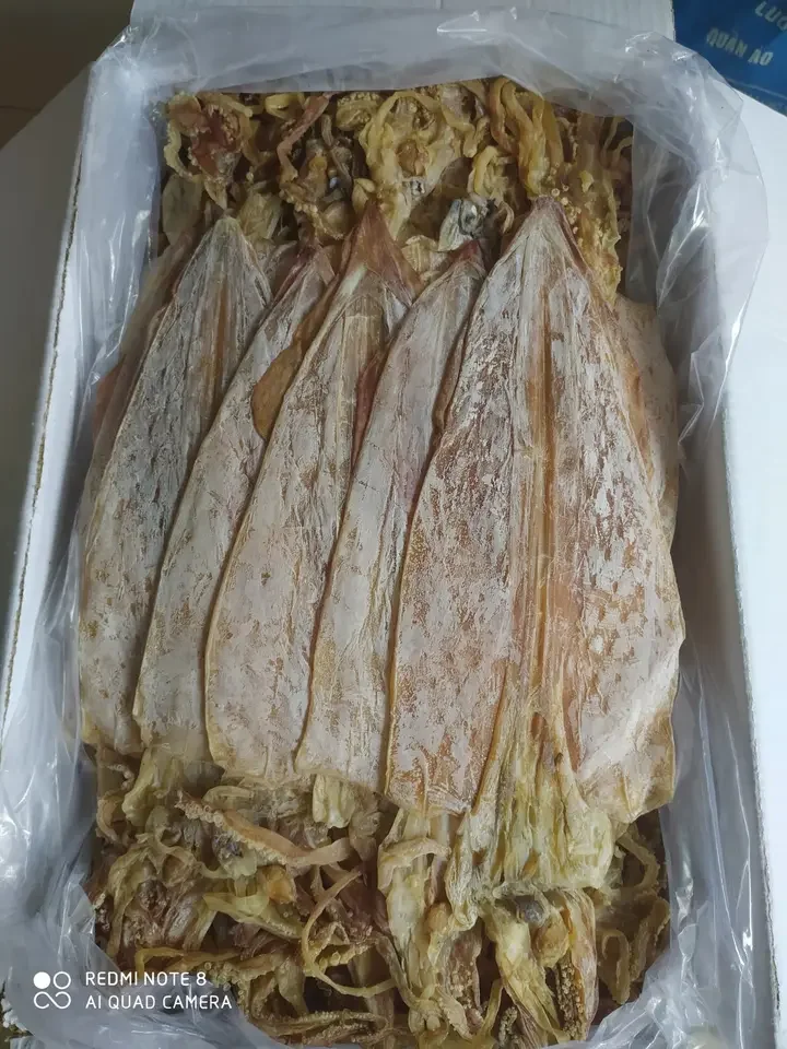 QUALITY DRIED SQUID FOR SALE