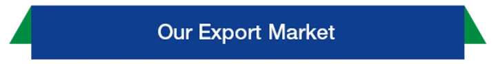our export market