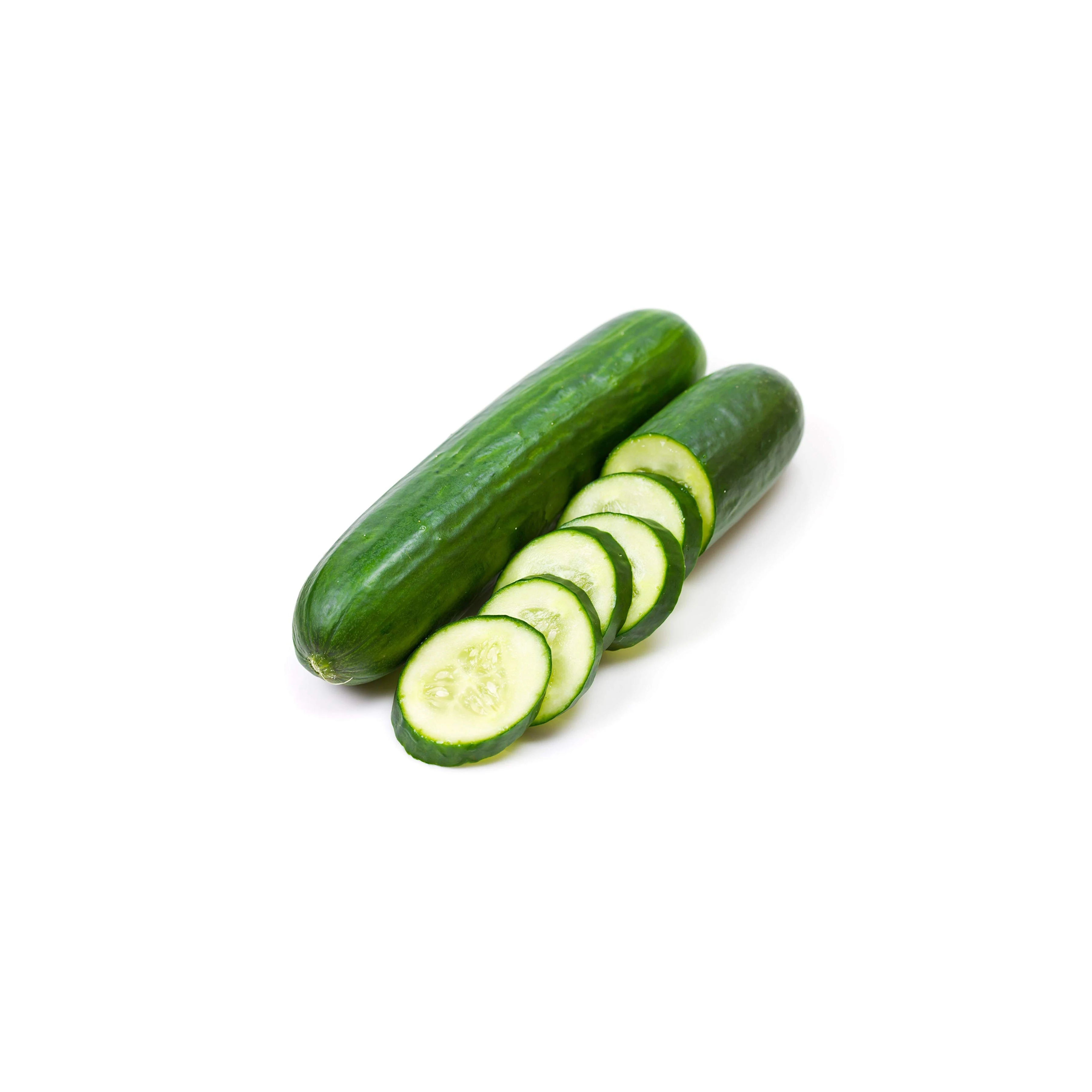 Premium Fresh Cucumber - Best Price High Quality Vegetable Available in