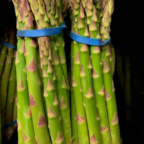 FRESH ASPARAGUS