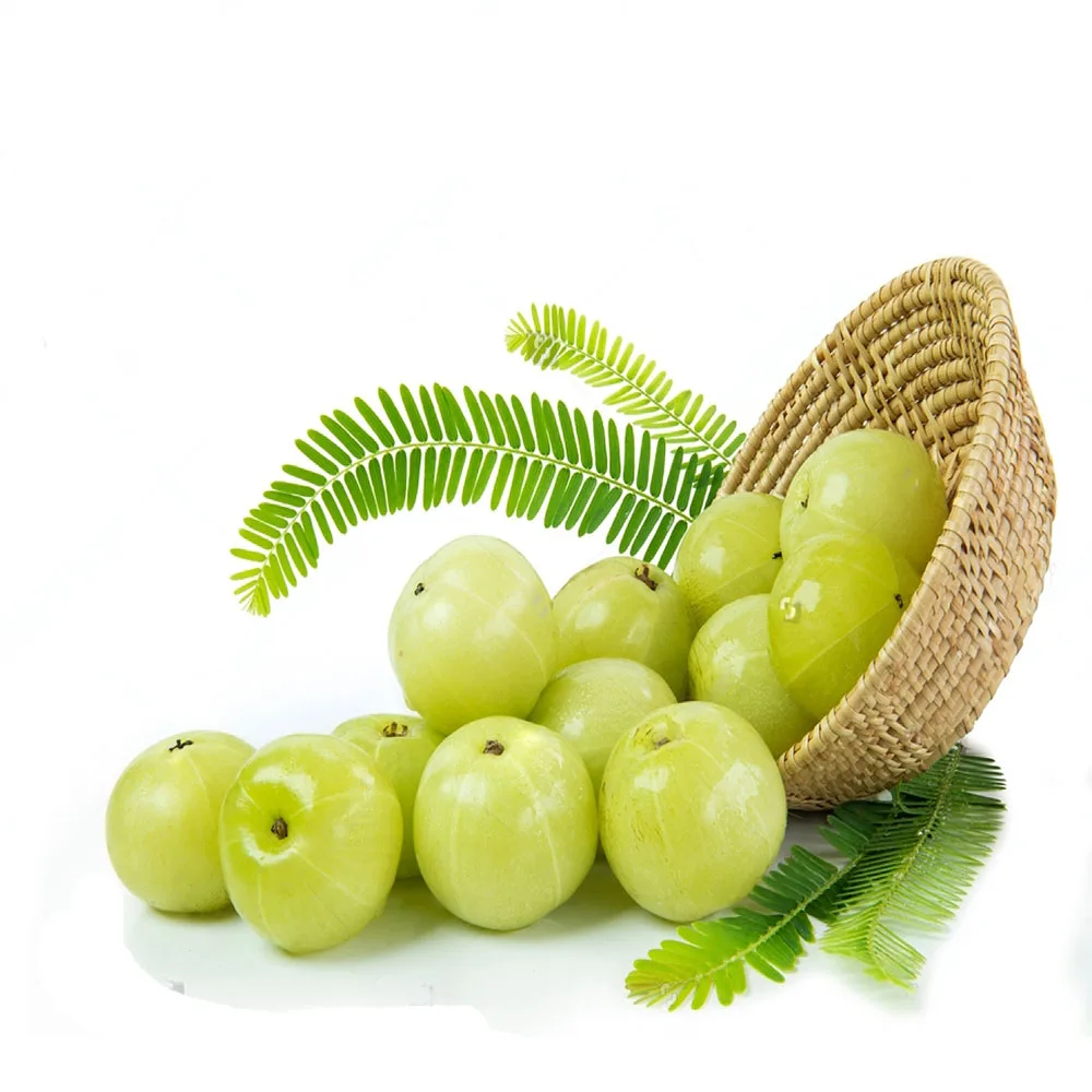 Amla Oil 100% Pure and Natural for Food Cosmetic and Pharma Grade Impeccable Quality at the Best Prices