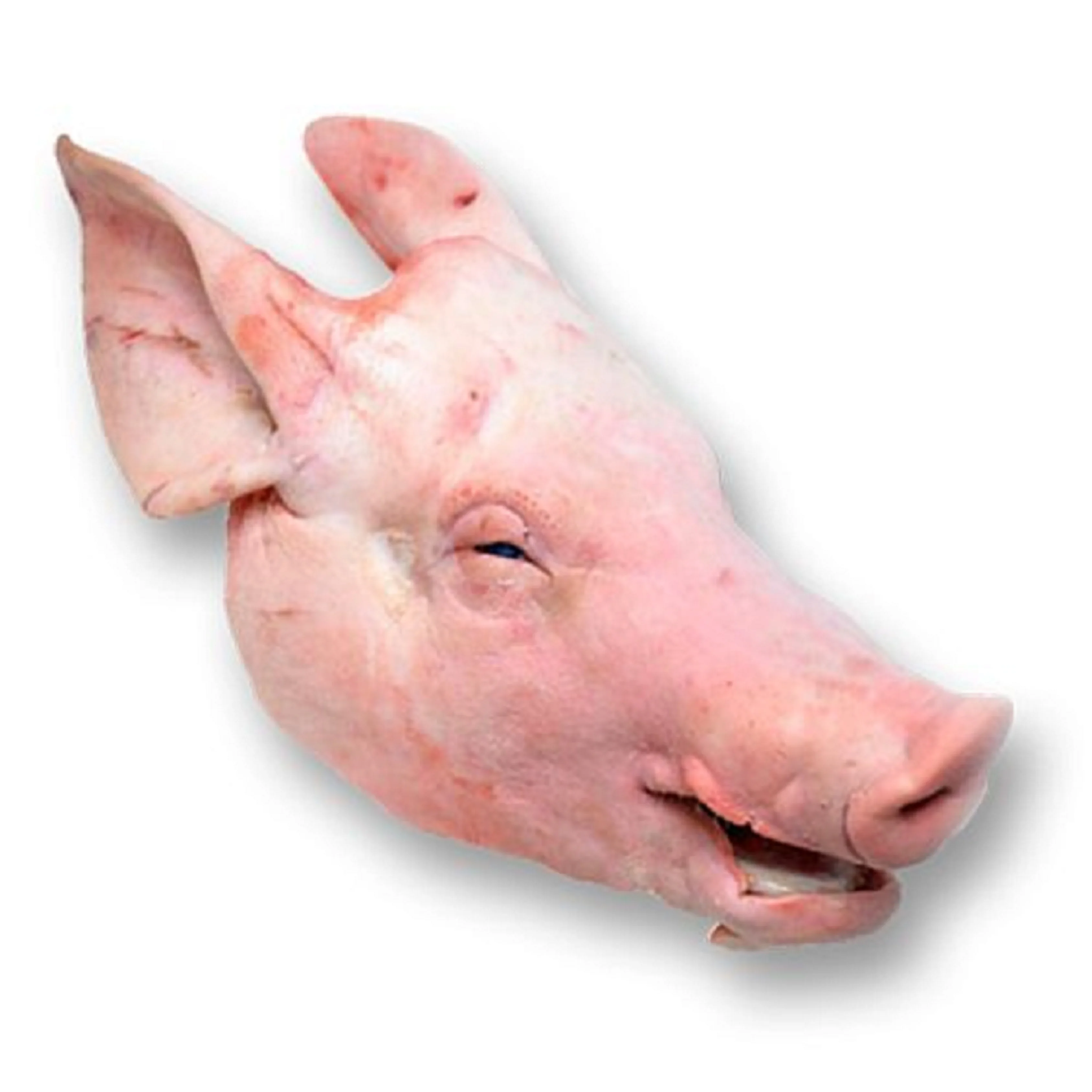 Wholesale Price Frozen Pork Head Pig Head Meat For Sale