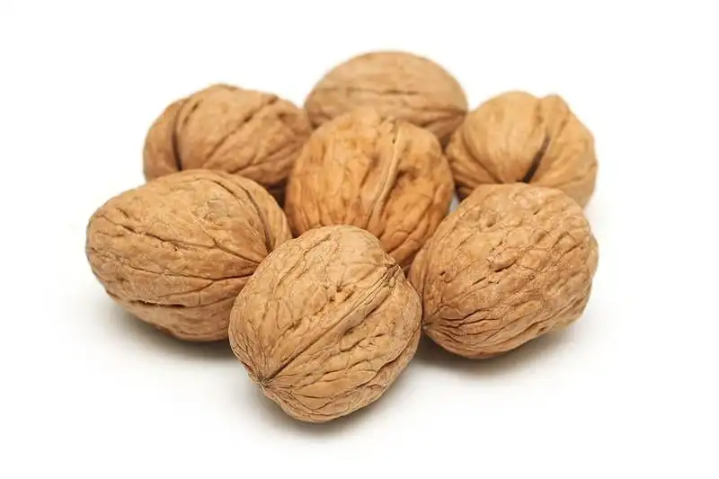 Premium Grade Walnut Kernels Without Shell Organic Raw Light Halves Peeled Walnuts In at Wholesale Price