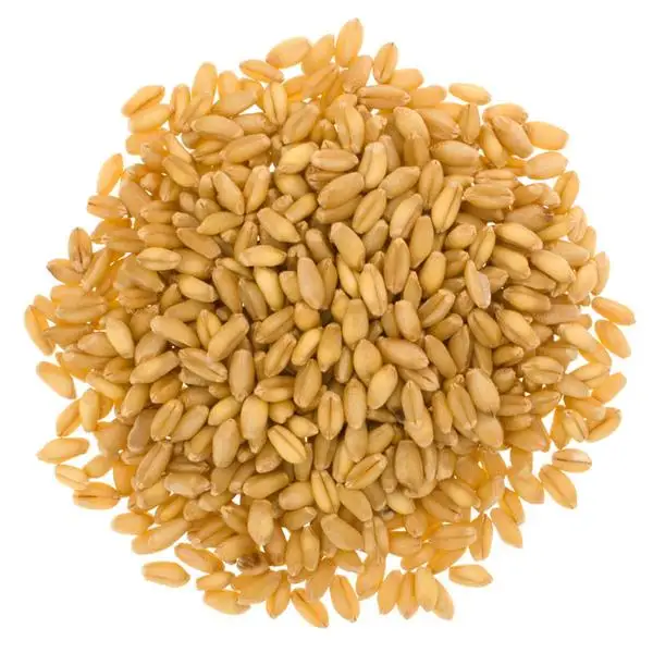 Hard white wheat and Canadian Quality Durum Wheat/Durum Wheat/Hard Wheat