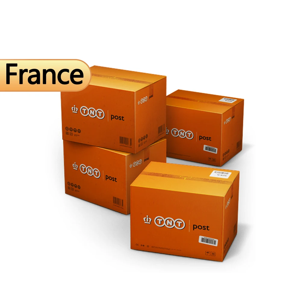 consolidation and door to door international forwarder chine chinese shipping agent companies to France