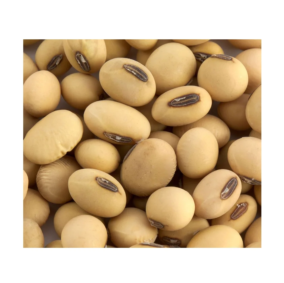 Производство качество Non-Gmo соевые бобы желтый