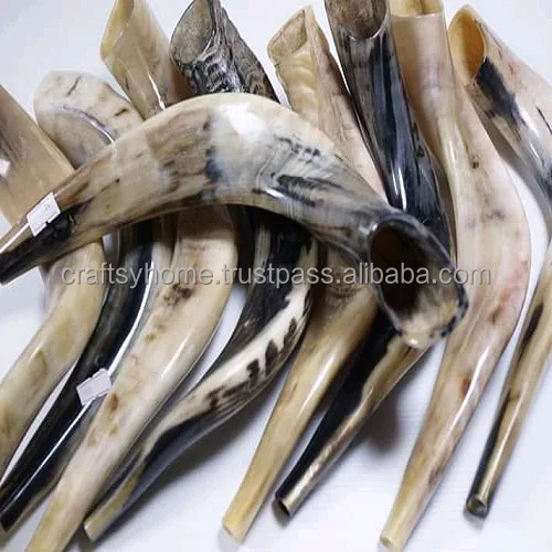 Wholesale Price Polished shofar Genuine Natural Ram Horn shofar for sale shofar kudu horn polished from India