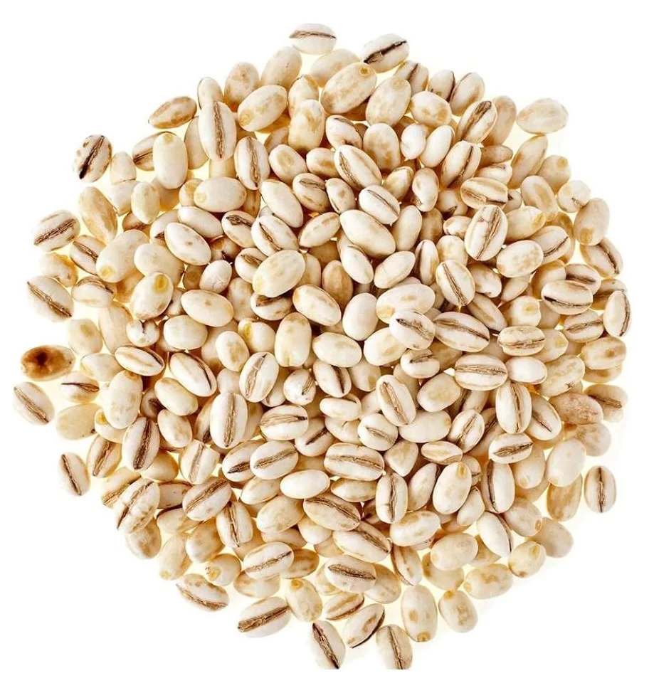 100% Barley Seeds/Animal feed barley/bulk barley grains at affordable price