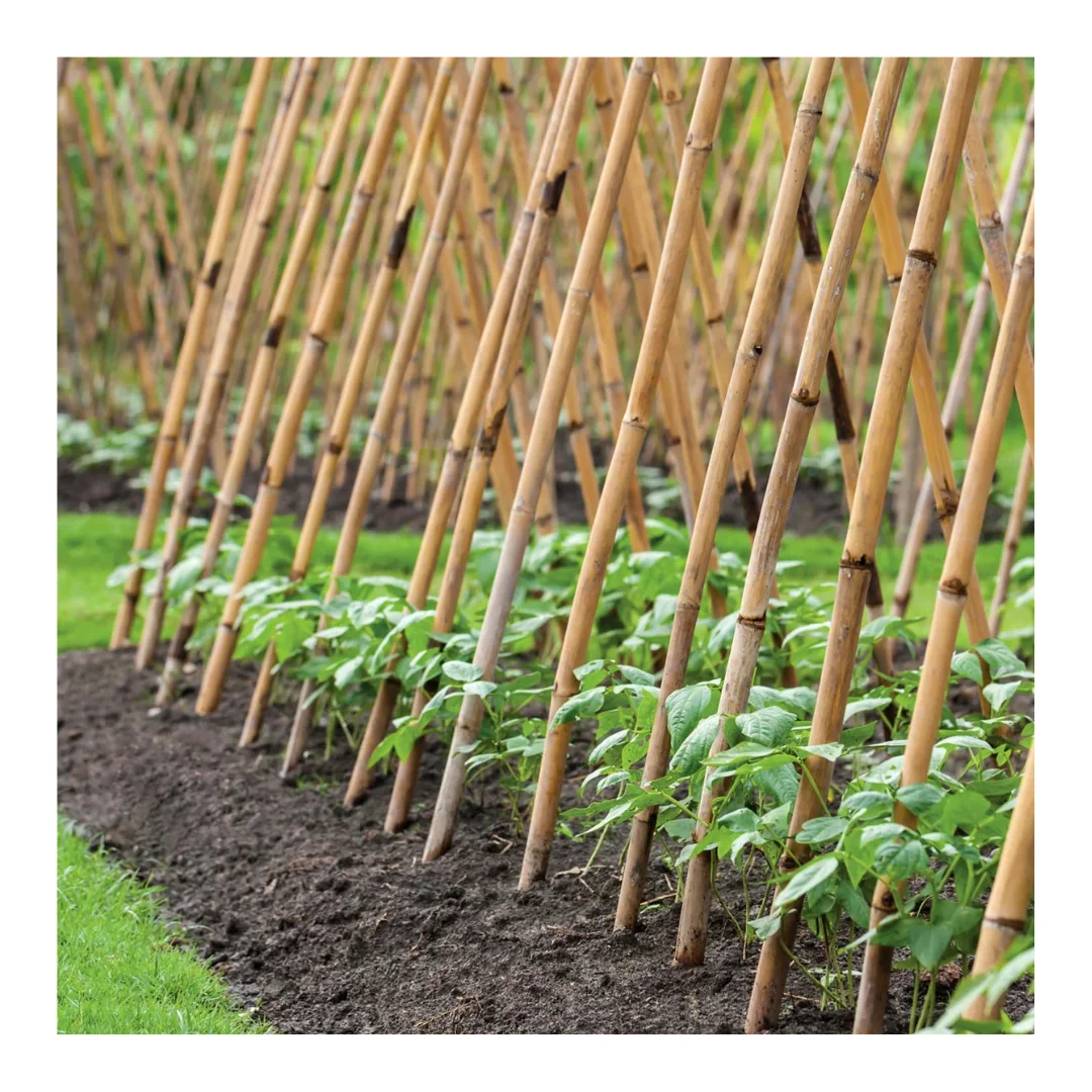 Оптовая продажа дешевые горячие продажи бамбуковых материалов экологически чистые бамбуковые столбы для экспорта