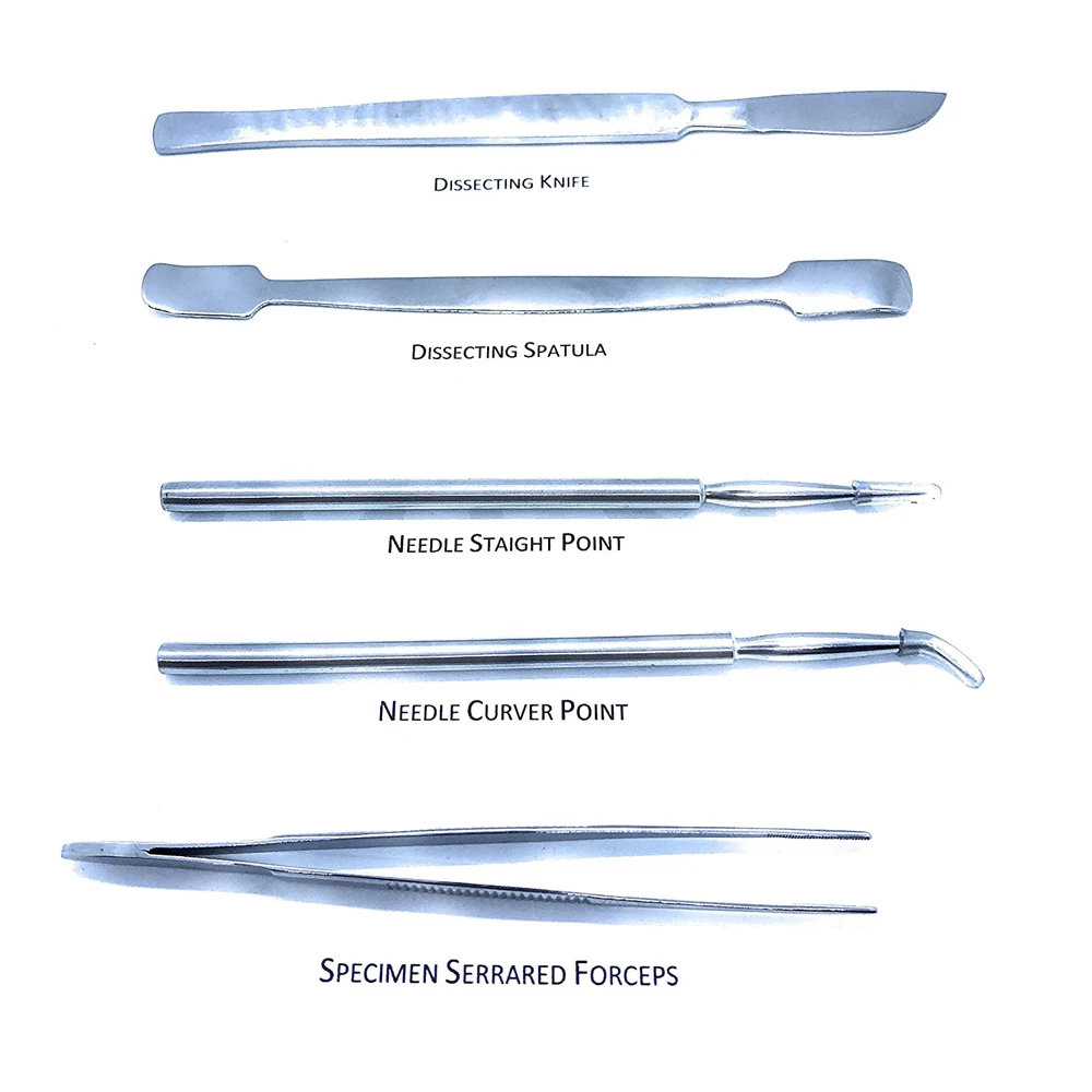 Набор для хирургической хирургии и набор из 12 стоматологических медицинских инструментов