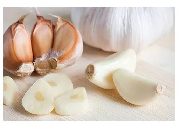 Vietnam Ly Son Fresh Natural Garlic Price For Import/ Export- New crop, Hot sales