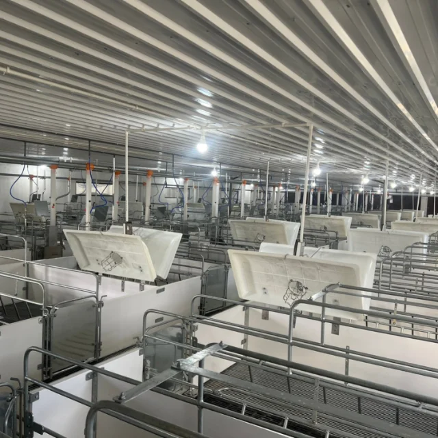 Good farrowing cage for pigs Stainless Steel   Vietnamese Manufacturer Top Selling   pig farrowing barn