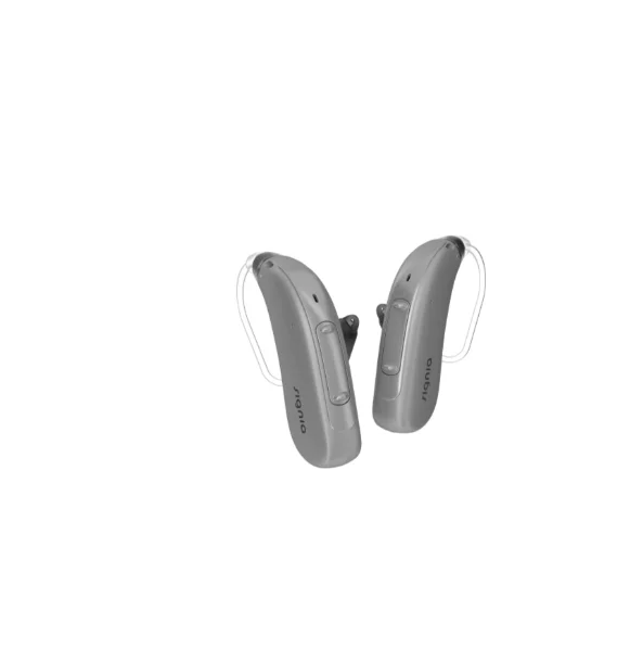 Hearing Aid Bte Rechargeable Mini Hearing Aid Bte Wireless Products Digital Part Deaf Rechargeable Manufacturer bte Hearing Aid
