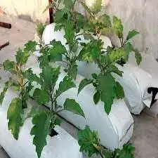 Кокосовые торфяные плит для выращивания устойчивые к ультрафиолетовому излучению долговечные большие растений на балконе и террасе садоводства