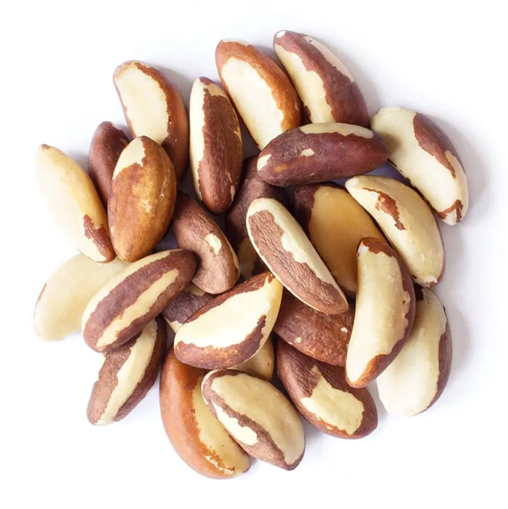 Farm product Brazil Nuts/ Brazil kernel/ Brazil salted nuts/unsalted
