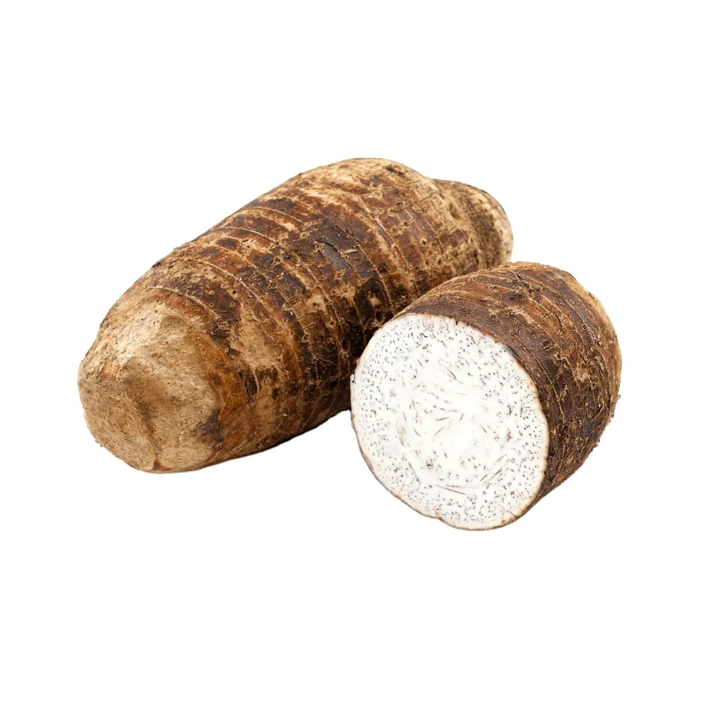 New Crop fresh taro wholesale