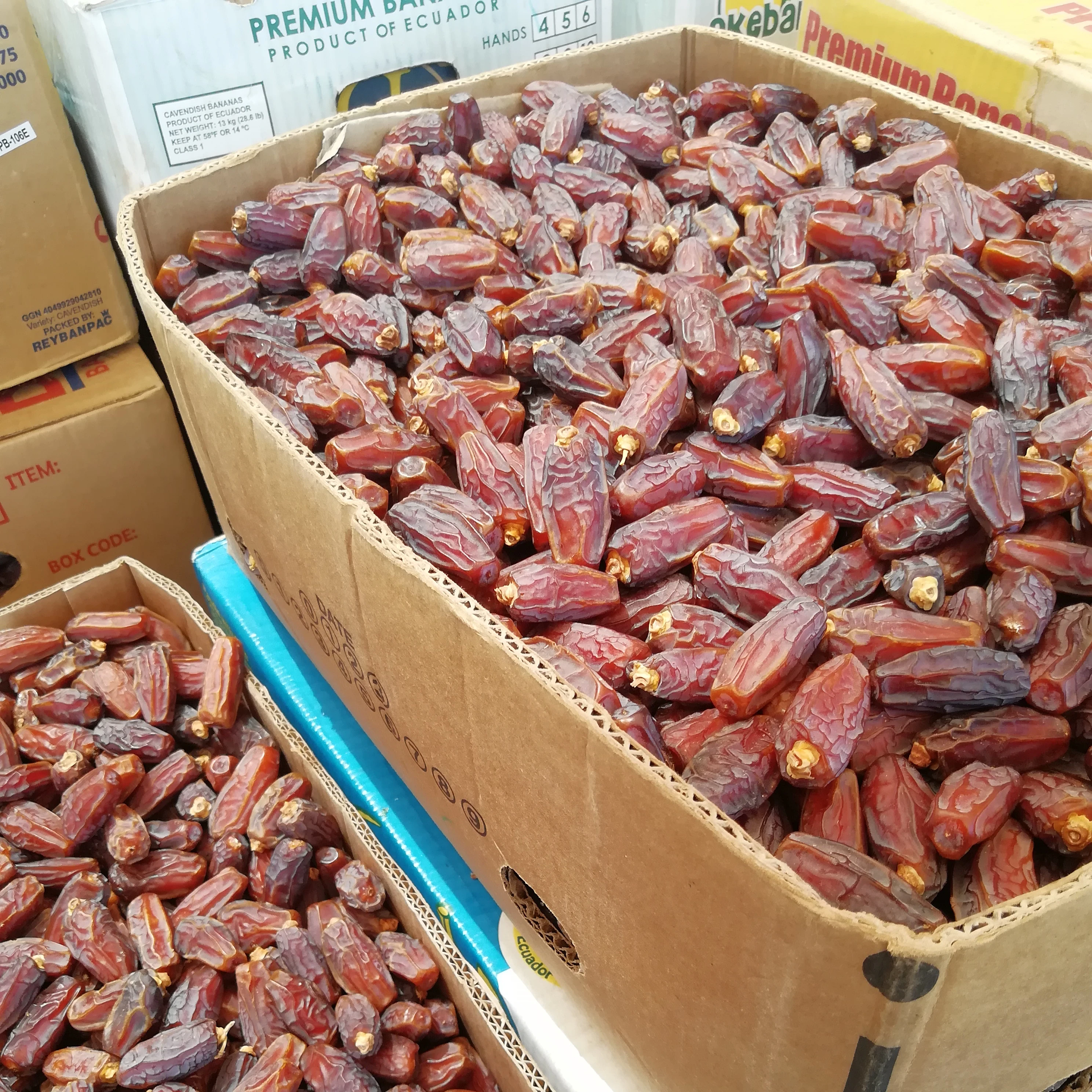 Dry dates Mabroom dates fruits