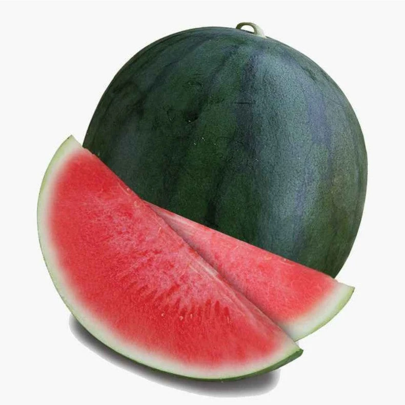 High Quality Fresh Watermelon Fruit At Best Price With Refreshing Sweet Taste  High Quality Fresh watermelons for Sale