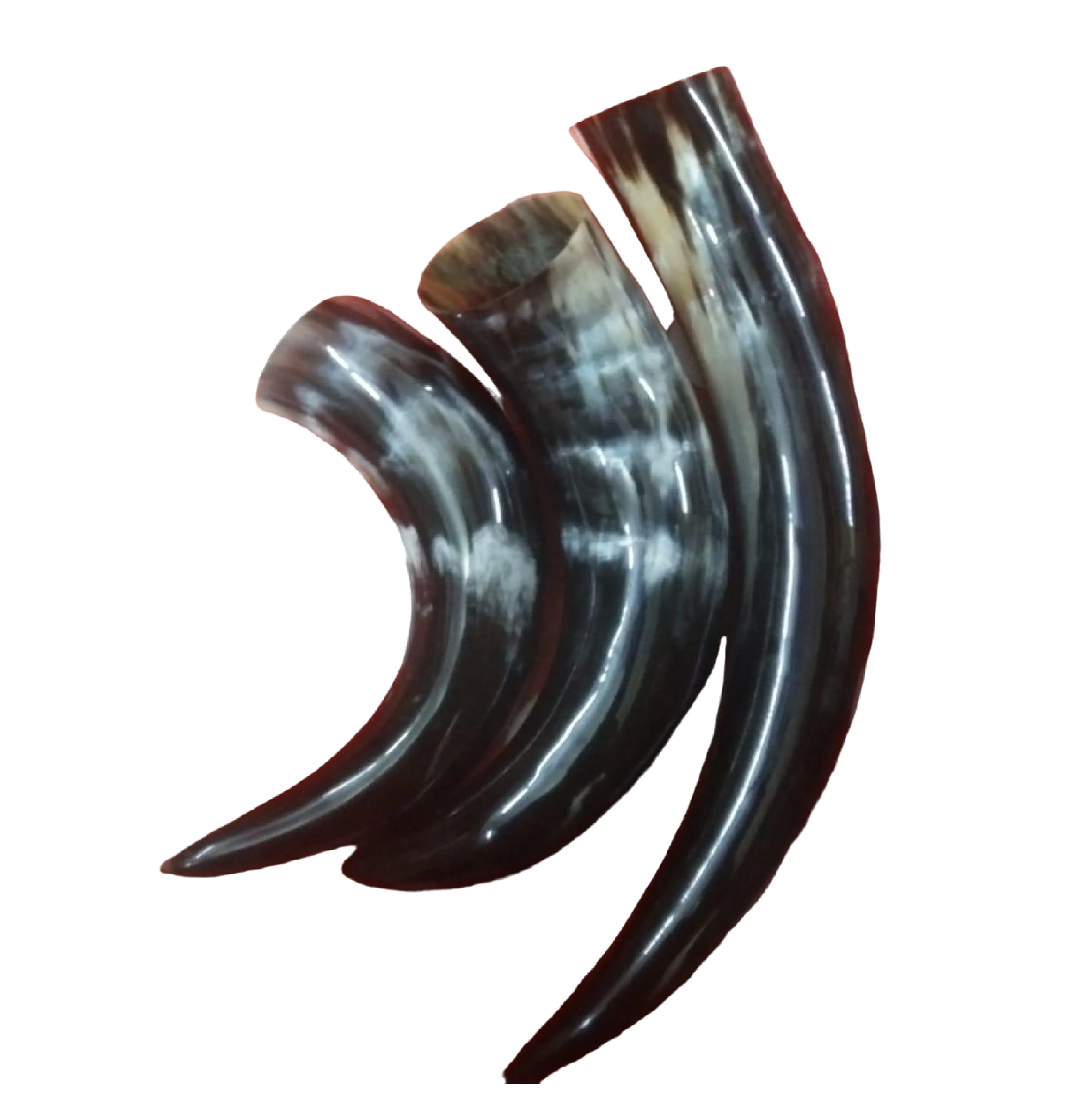 Top Quality Natural Buffalo Powder Best Gifts Top Indian Manufacturer Of Natural Buffalo Blow Horn Powder Horn Drinking Horns
