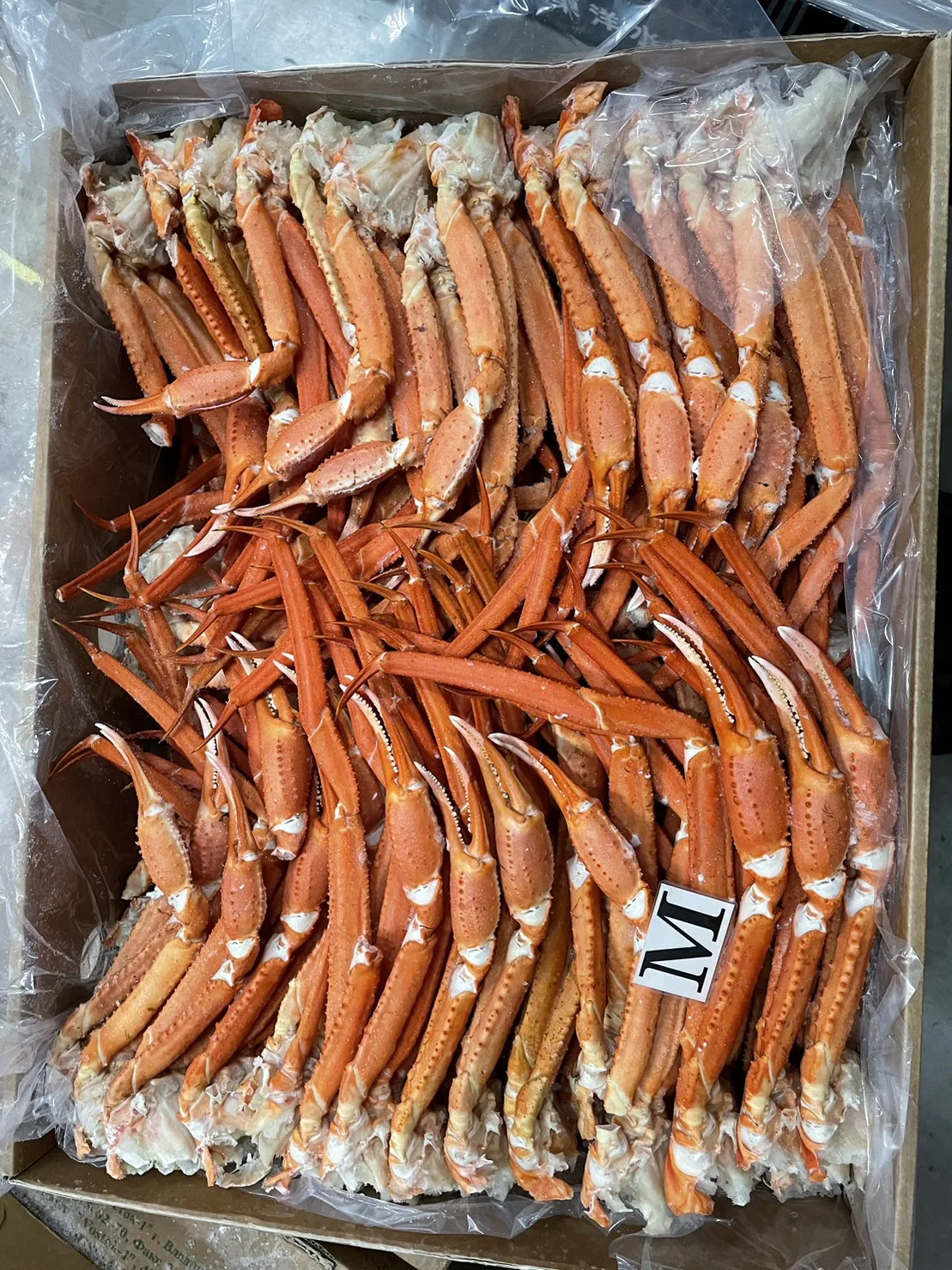 Bulk Boiled Snow Crab Merus Section