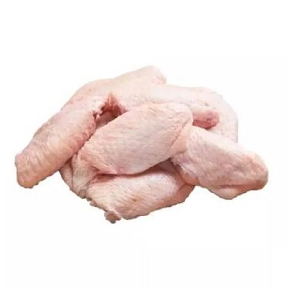Halal Wholesale Frozen Chicken Wings For Sale at Best Price