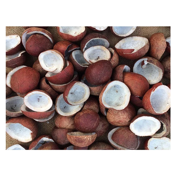 Best Quality Coconut Copra / Dried Coconut