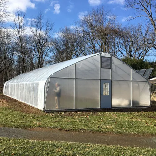 Hot Sale Low Cost Tunnel Single-Span Agricultural Greenhouse With Irrigation Hydroponic System PE Plastic Film