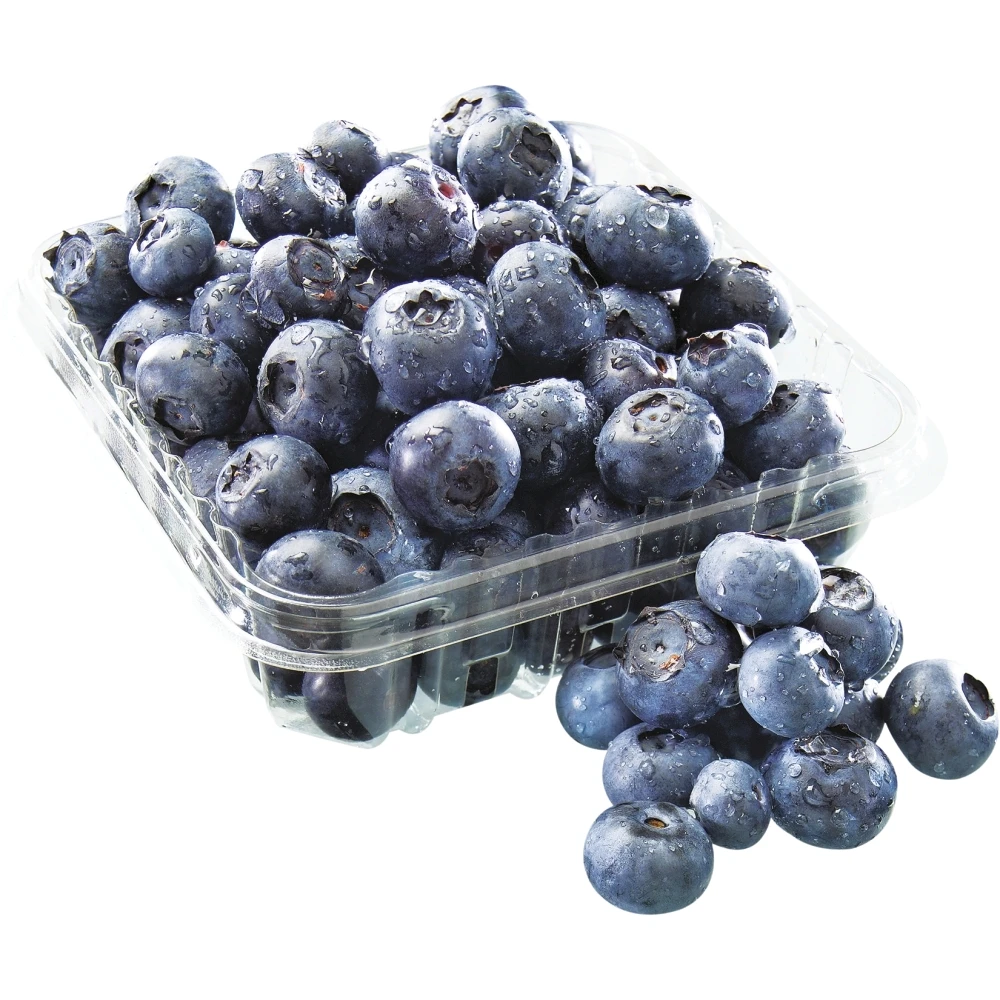 frozen blueberry fruit--iqf blueberries wild fresh blueberries wholesale