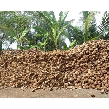 100% RAW COCONUT SHELLS BEST PRICE FOR MAKING CHARCOAL / BUY BULK CHEAP COCONUT SHELL FOR BBQ