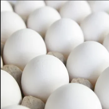 Broiler chicken eggs