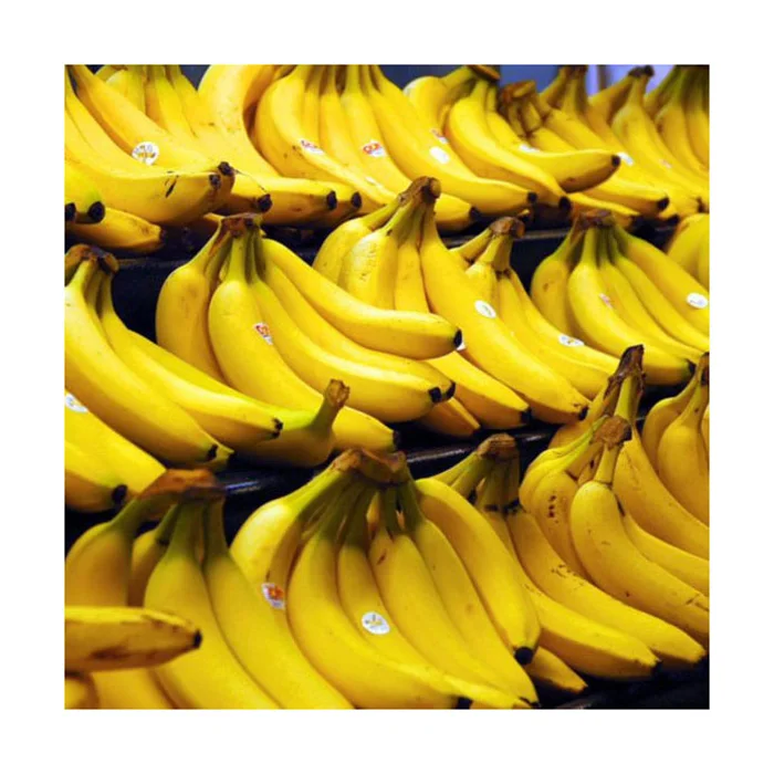 DOLE PHILIPPINES TYPE FRESH CAVENDISH BANANA HIGH QUALITY WITH BEST PRICE