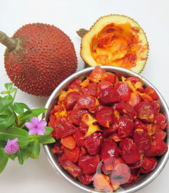 Frozen Gac Fruit/ Natural/ Fresh High quality best price new crop ANGLE