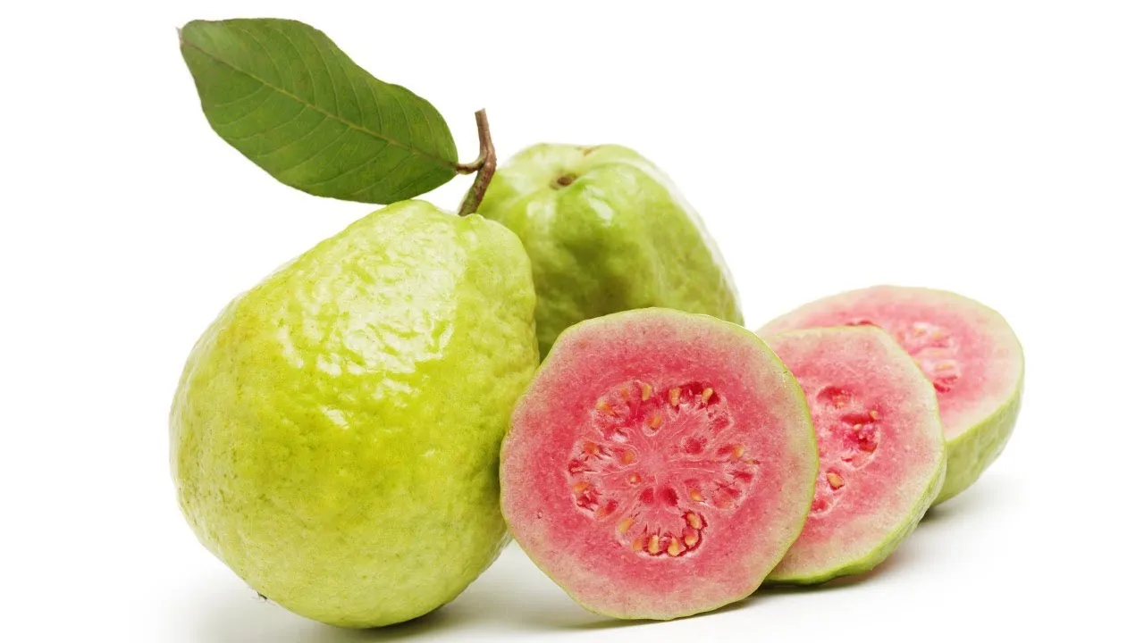 RED GUAVA WITH GOOD QUALITY TO EXPORT - WHATSAPP: +84 358211696 Ms. Iris