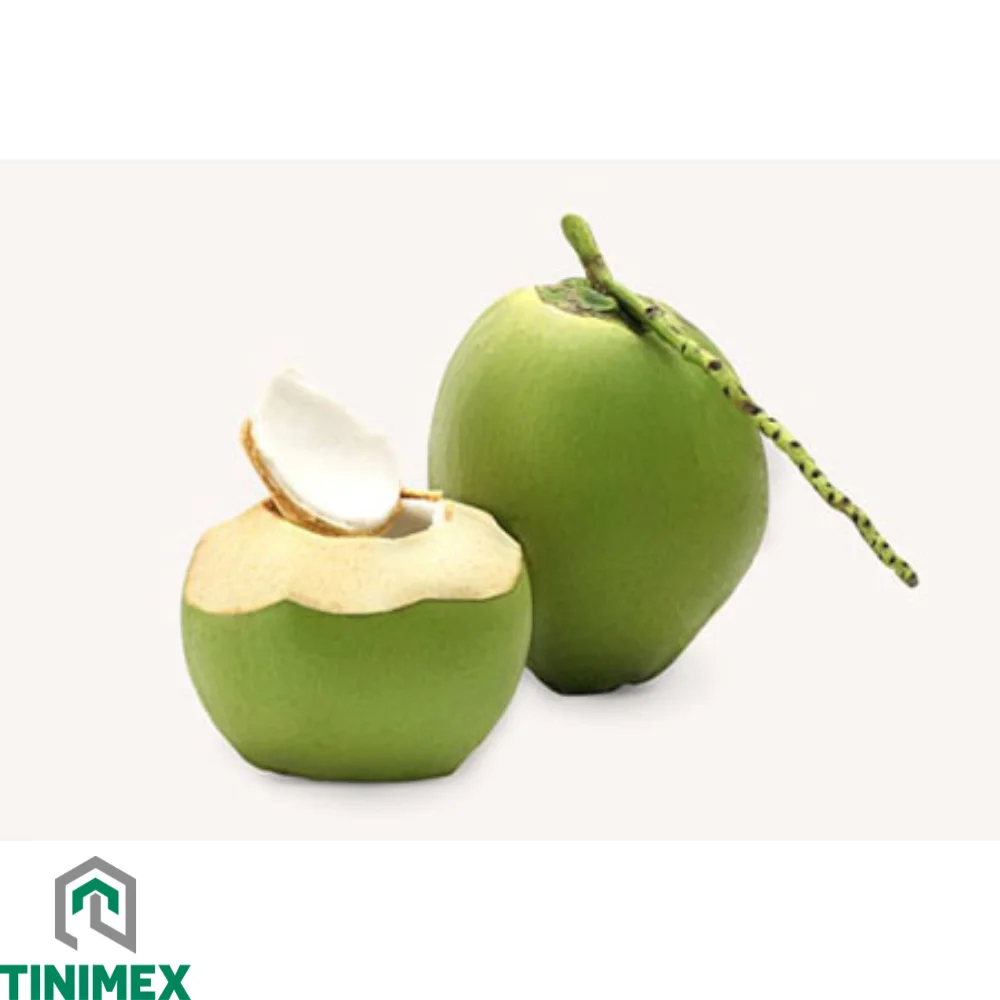 Premium Grade Green Husked Coconut 100% Organic from Farms in Ben Tre, Vietnam (WhatsApp: +84 366 808 6831)