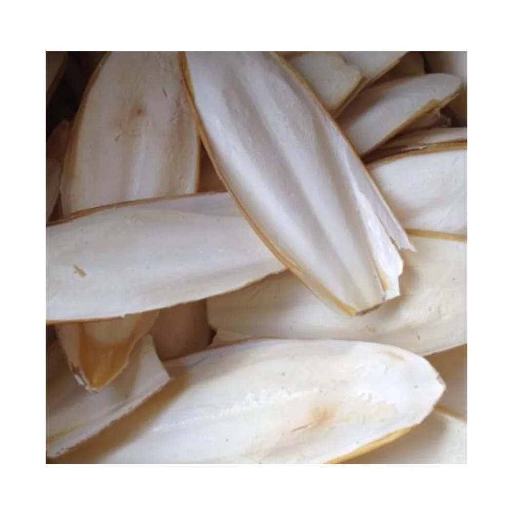 Top Reliable Supplier Provide Dried Cuttlefish Bone - High Quality White Bleached Cuttlefish Bone With Competitive Price 2024