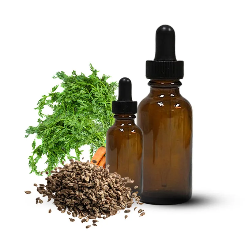 WHO-GMP Approved Carrot Seed Oil - Daucus carota Essential Oils Indian Wholesaler for Bulk Export with Private Labeling