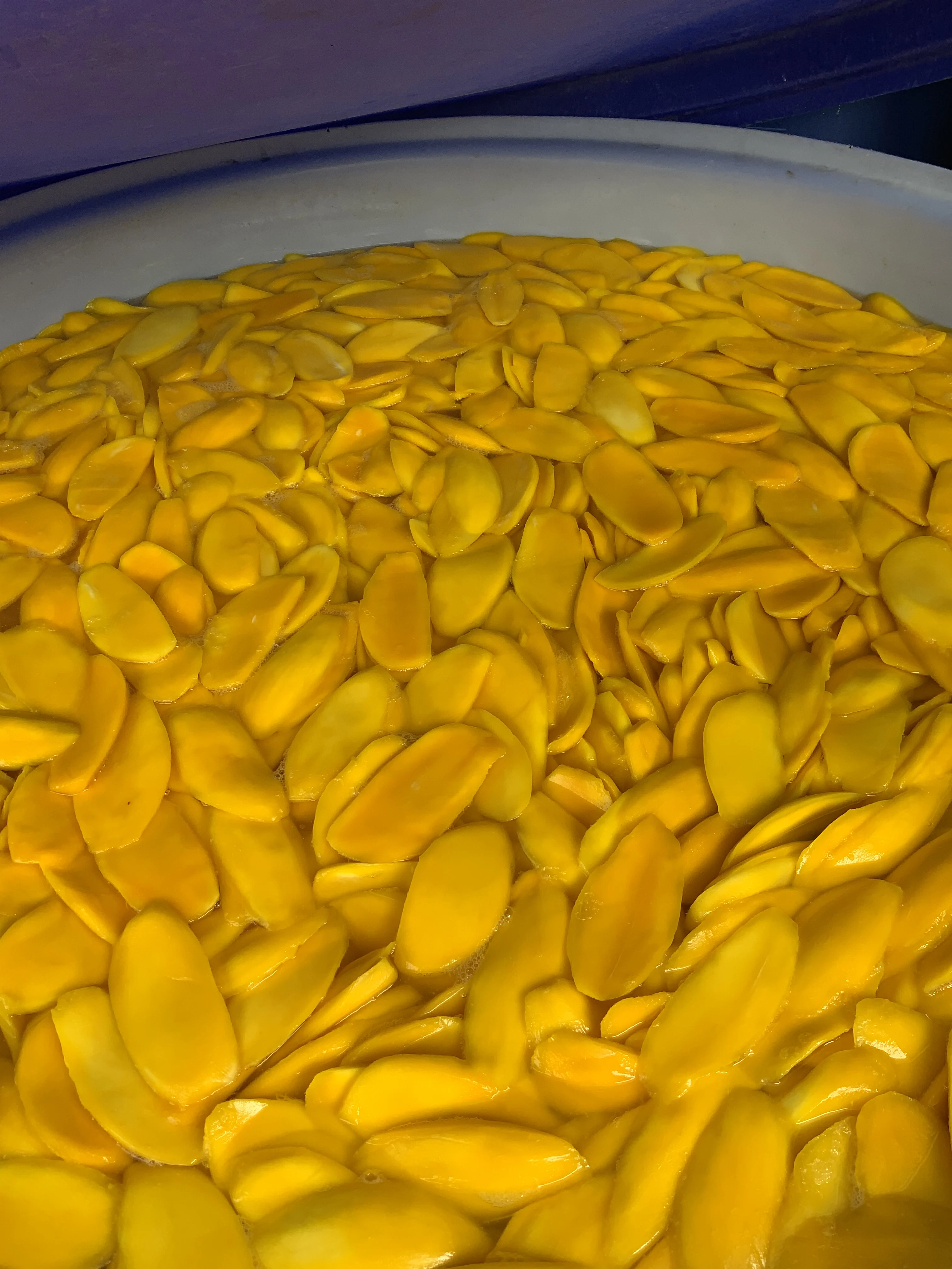 Wholesaler Dried mango package in bulk 20 kg box