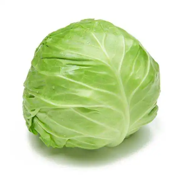 Hot Sale - Fresh Round Cabbage with high quality - High Quality Natural Cabbage