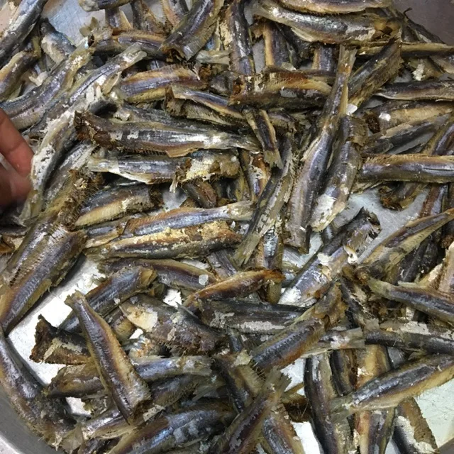 WHOLESALE BULK FRESH SEAFOOD | STEAMED HERRING AND DRYING