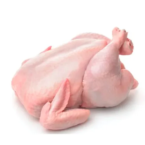 High grade HALAL certified vacuum packing products from manufacturer netherlandS whole chicken body carcass for food