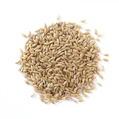 Семена Нигера/канареек