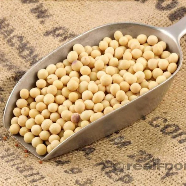 Хорошее качество NON GMO соевые бобы для продажи