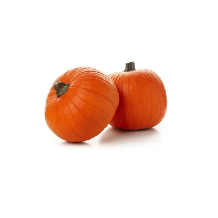 Fresh Pumpkins For Sale At Wholesale Price