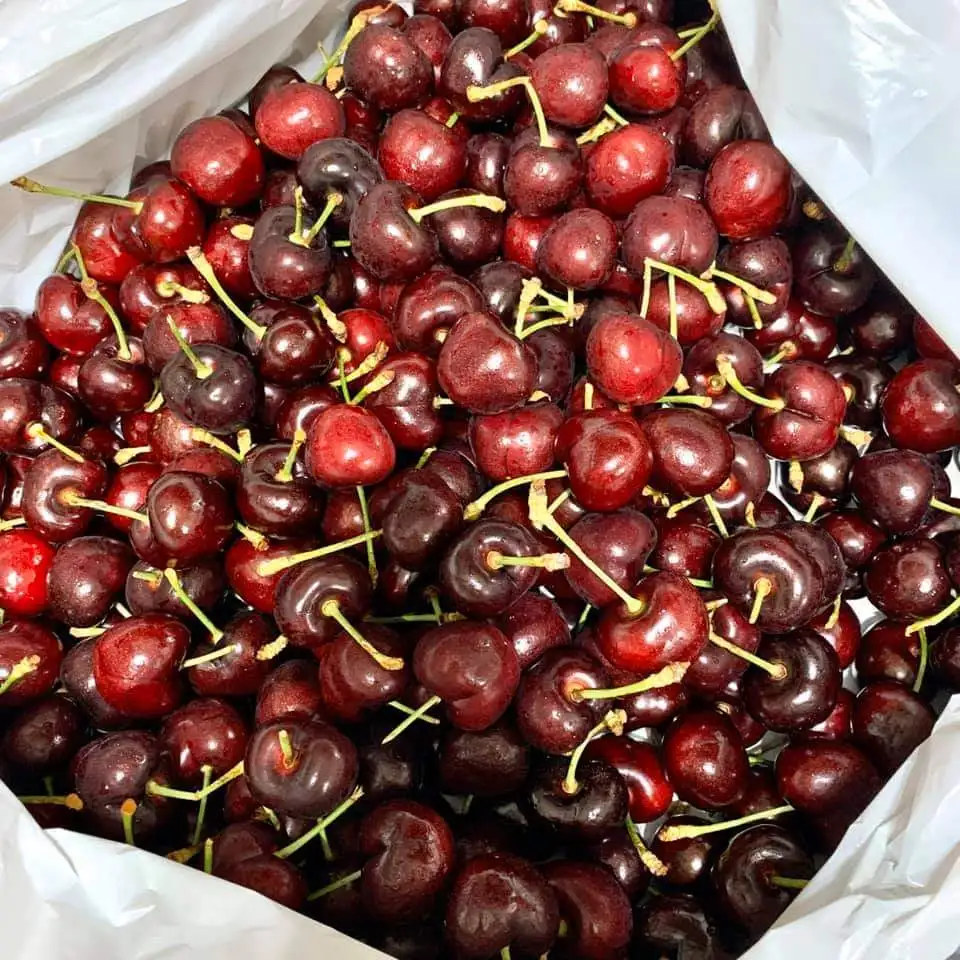 Красная Сладкая вишня/свежие вишневые фрукты поставщики