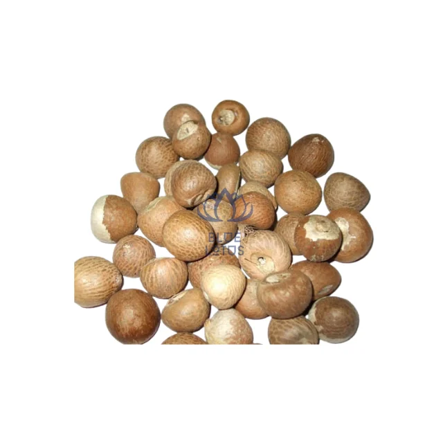 WHOLESALE PRICE Dried Betel Nut Areca Nut Kernel Best Grade Top Selected Supplier From Vietnam