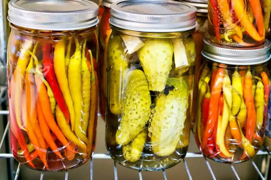 Sweet and Spicy Pickled Peppers Wholesale export canned salt peppers in bulk with competitive price Akina