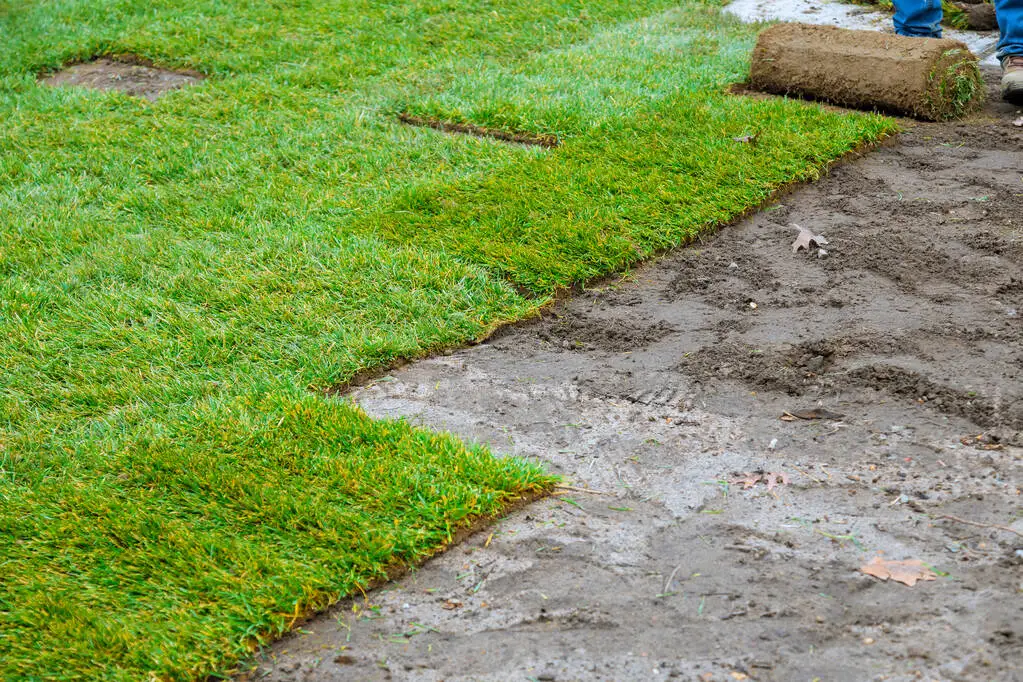 Evergreen Ecograss Turf Grassscape Lawn Grass Truf-Garden Ornament